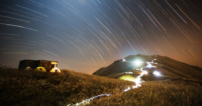 Admire the incredible photos of 2015