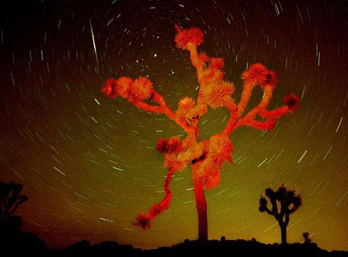 Admire the mysterious meteor shower