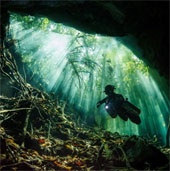 Admire the photo won the 2014 National Photographer Award