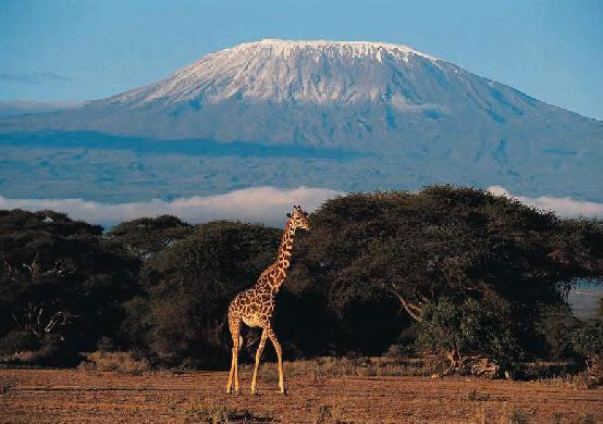 Admire the 'rooftops' of the continents