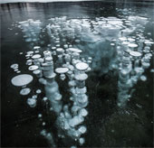 Admire the strange 'jellyfish' phenomenon in Canada