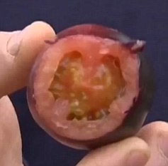Admire the strange red grapes, black shell