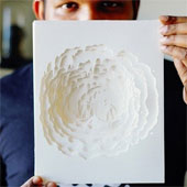 Admire the work from paper cut art