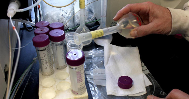 Advanced technologies help detect dirty food