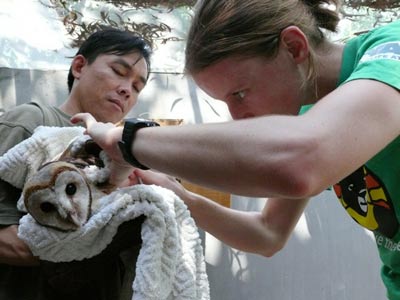 After nearly a month of operation, rescued 270 animals