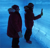 Again discovered aphids in Antarctic ice sheets
