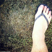 Again the traces of 'legendary footprints' appeared?