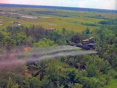 Agent Orange related to heart disease and Parkinson's