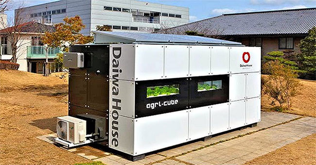 Agri-Cube - Technology container to increase productivity of aquatic vegetables in the city