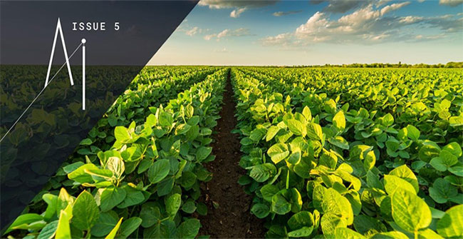 Agriculture during AI: Revolution towards sustainable goals