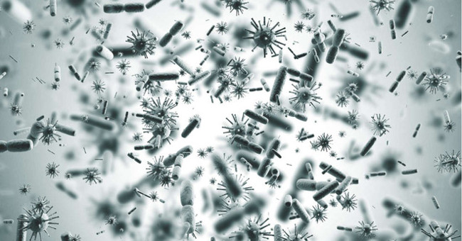 AI and robots help us find new 6000 viruses