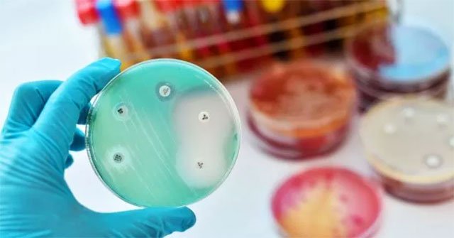 AI found a new super antibiotic that can kill the most dangerous antibiotic resistant bacteria