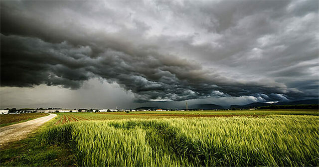 AI real-time accurate weather forecast