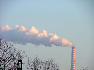 Air pollution causes many diseases
