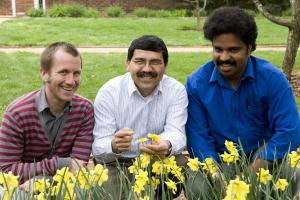 Air pollution reduces flower fragrance