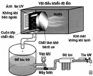 Air purifier for water