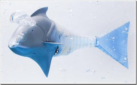 Airacuda - fish machine
