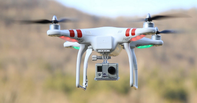 Aircraft crashed into turtles more than crashed into drones