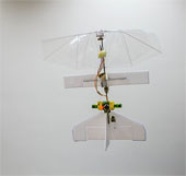 Aircraft like insects