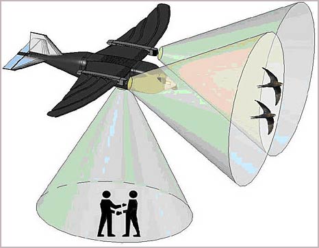 Airplane swallow