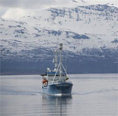 Alarming acidification in the Arctic Ocean
