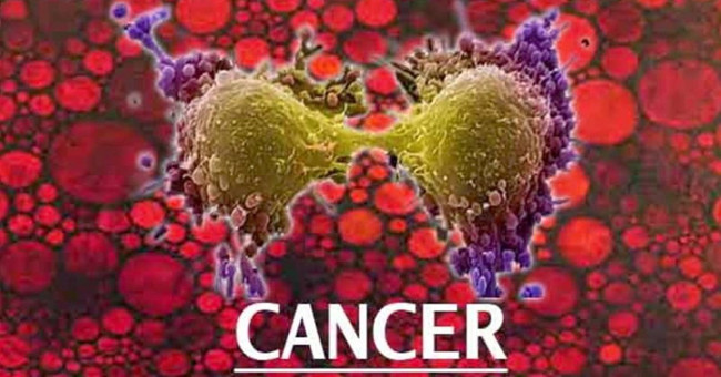 Alcohol harms DNA molecules, leading to cancer