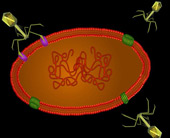 'Alien' virus on the seabed