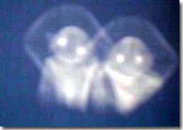 Aliens landed on Canada?