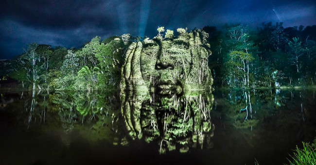 Amazing drawing set on the tree in the Amazon forest