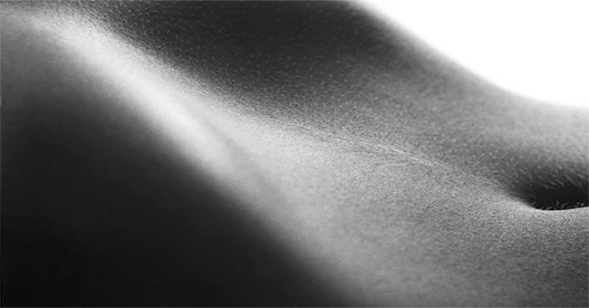 Amazing things about the human body