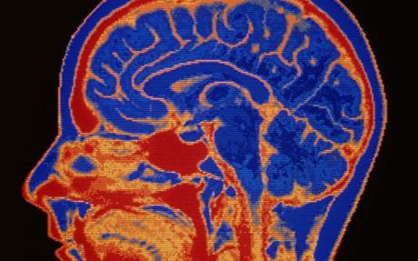 Amazing things about the human brain