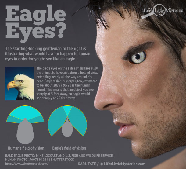 Amazing when people have eyes like eagle
