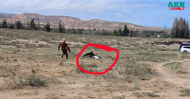 Amazingly the eagle swung an 8-year-old girl