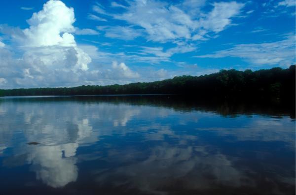 Amazon River 11 million years old