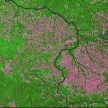 Amazone forest was severely destroyed