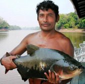 Amazon's freshwater ecosystem is sensitive to environmental degradation