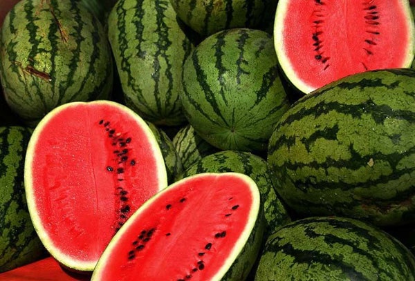America: A series of people died from infected melons