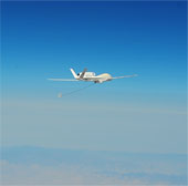 America built 'animal UAV', capable of 'stealing electricity'