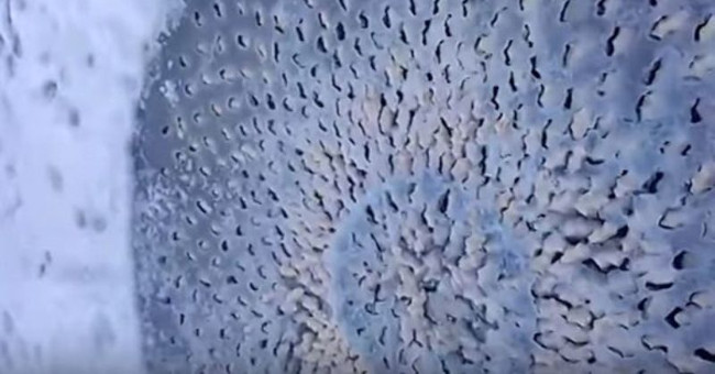 America: Detecting an odd circle on the ice lake