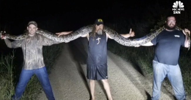 America: Detecting pythons