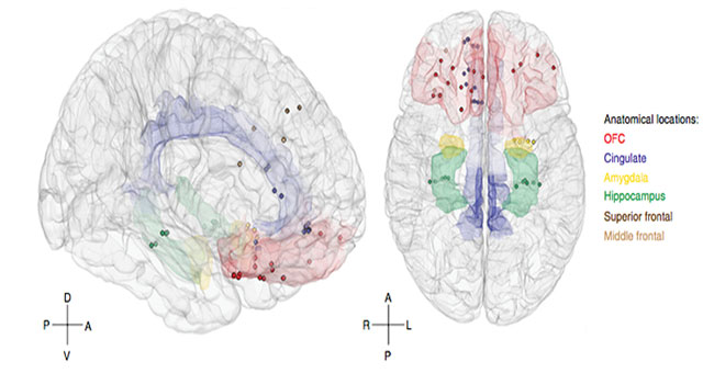America develops algorithms to monitor moods through brain activity