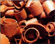 America develops biofuels from wood chips