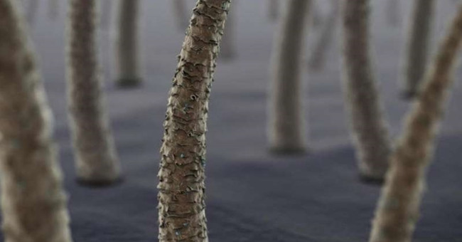 America develops bullet-proof superhard materials from hair