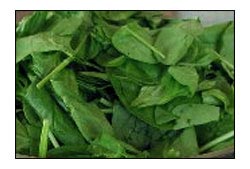 America: Outbreaks of deadly bacteria in bagged spinach