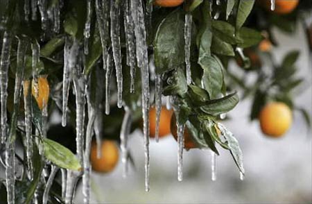 America: snow prices cause at least 70 deaths, $ 1 billion in damage
