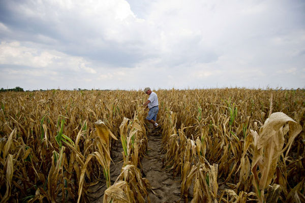 America: The most serious drought in nearly 60 years