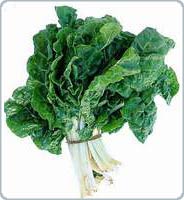 America: The outbreak of E.coli intestinal bacteria again