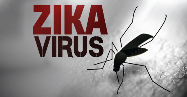 America tried to successfully vaccinate against Zika virus in animals