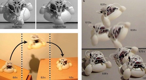 American 3D robot design know how to transform and jump high
