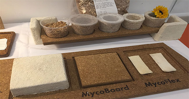 American companies use mushroom fibers to produce furniture